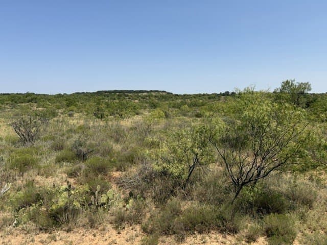 160 acres in Stephens County - photo 6