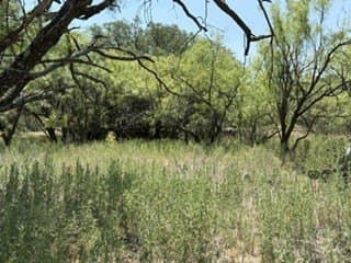160 acres in Stephens County - photo 23