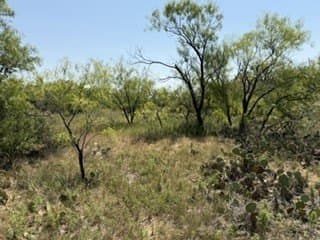 160 acres in Stephens County - photo 18