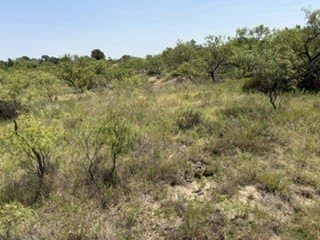 160 acres in Stephens County - photo 29