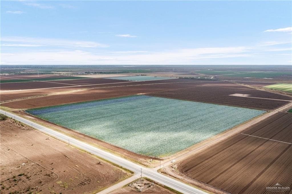 38.2 acres in Hidalgo County gallery image 4