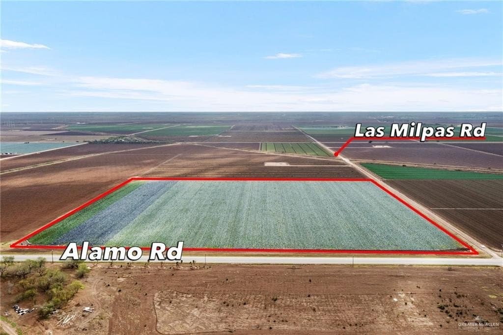 38.2 acres in Hidalgo County gallery image 3