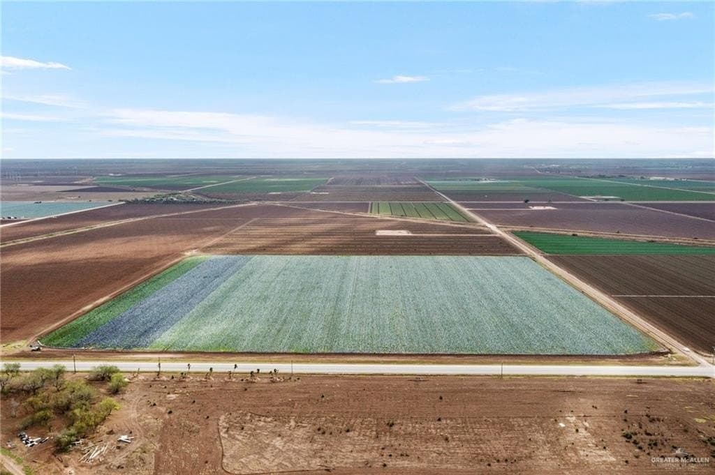 38.2 acres in Hidalgo County - photo 6