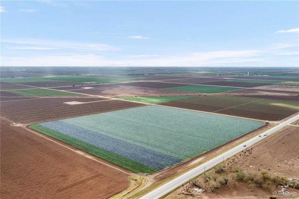 38.2 acres in Hidalgo County gallery image 2