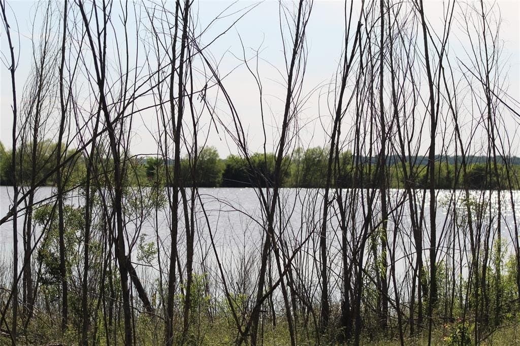 40 acres in Jack County gallery image 3