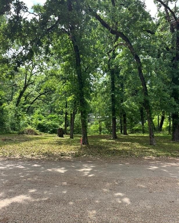 0.17 acres in Henderson County gallery image 2