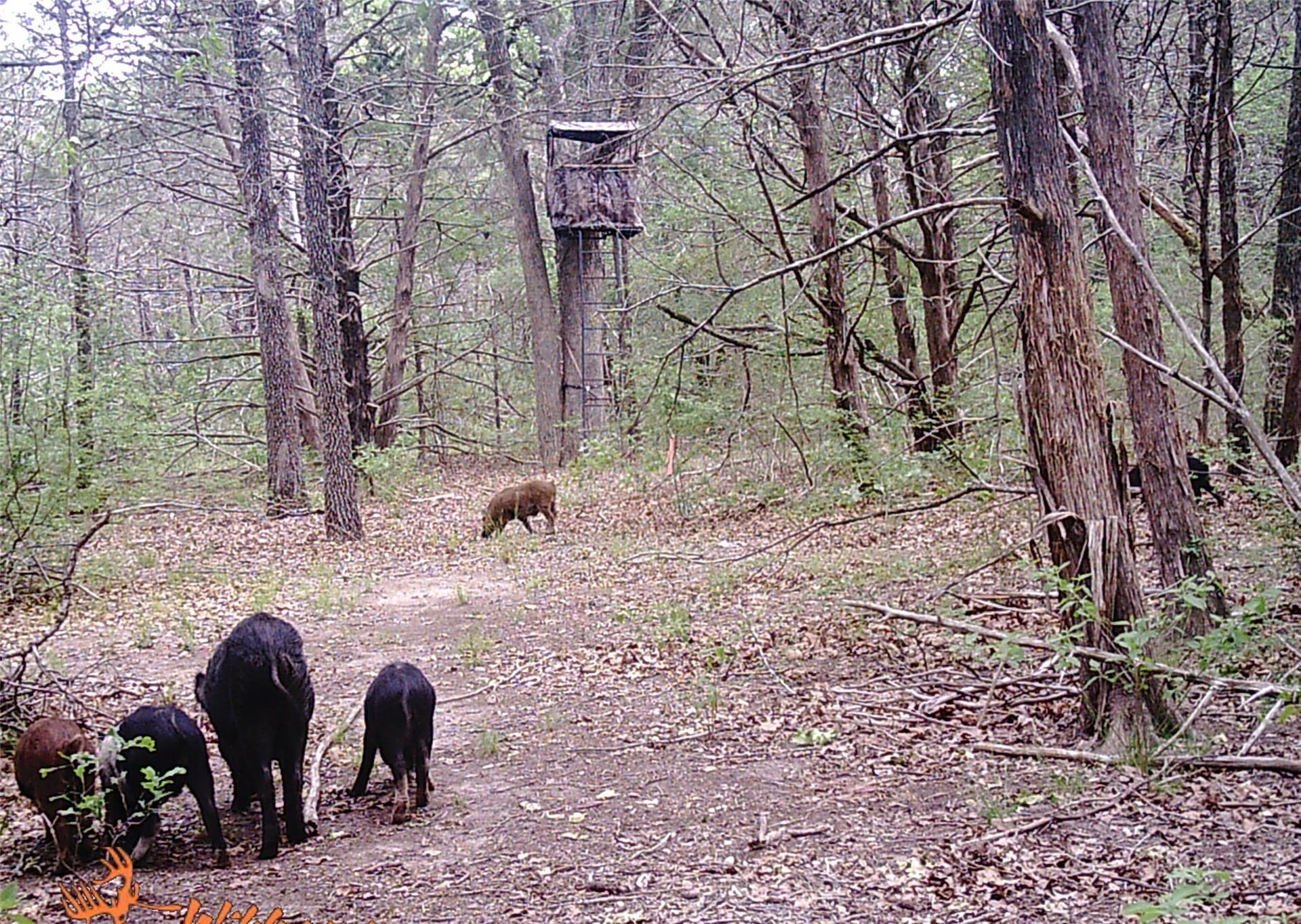 45.02 acres in Navarro County - photo 24