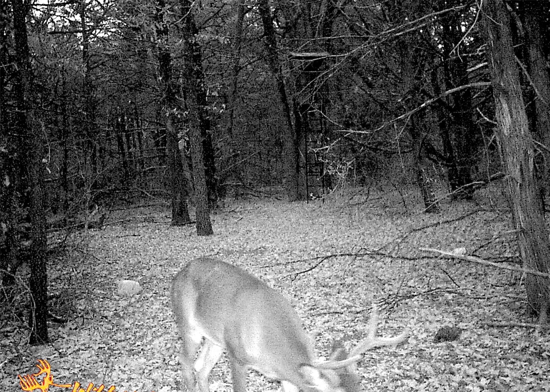 45.02 acres in Navarro County - photo 19