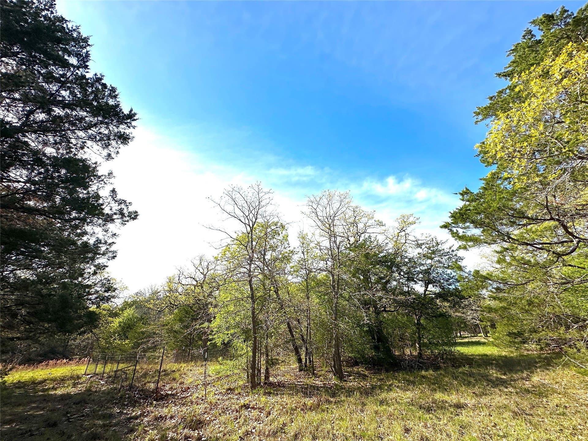 45.02 acres in Navarro County - photo 26
