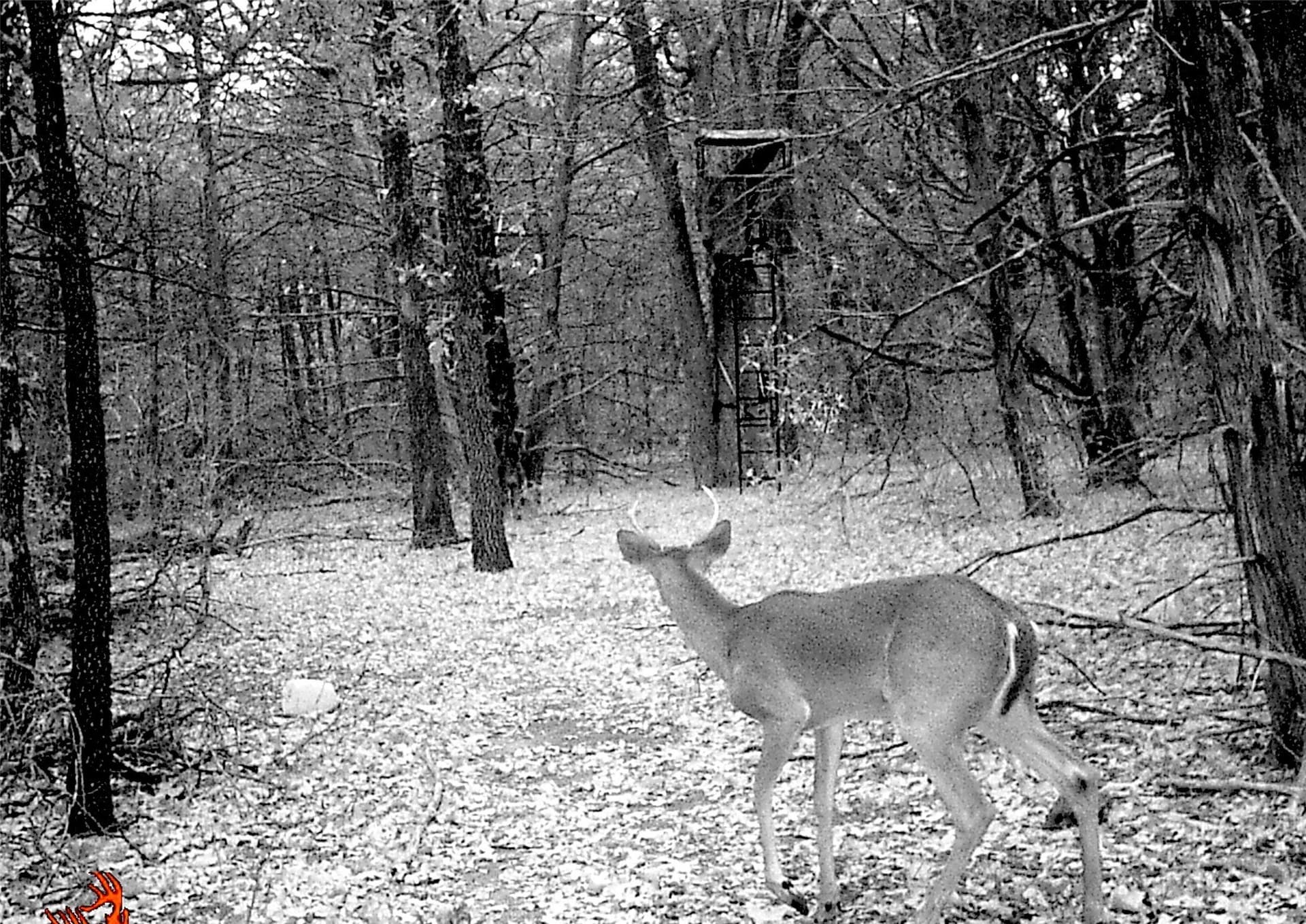 45.02 acres in Navarro County - photo 18