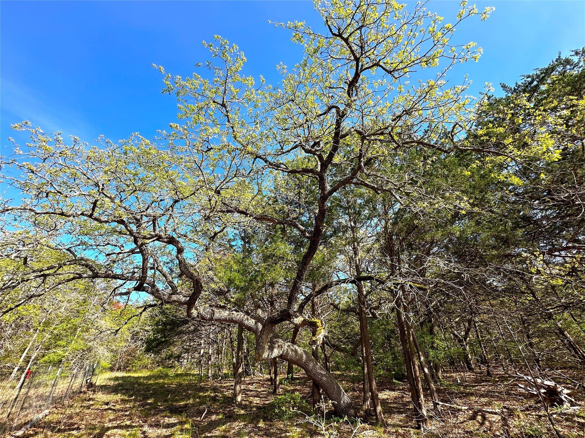 45.02 acres in Navarro County - photo 28
