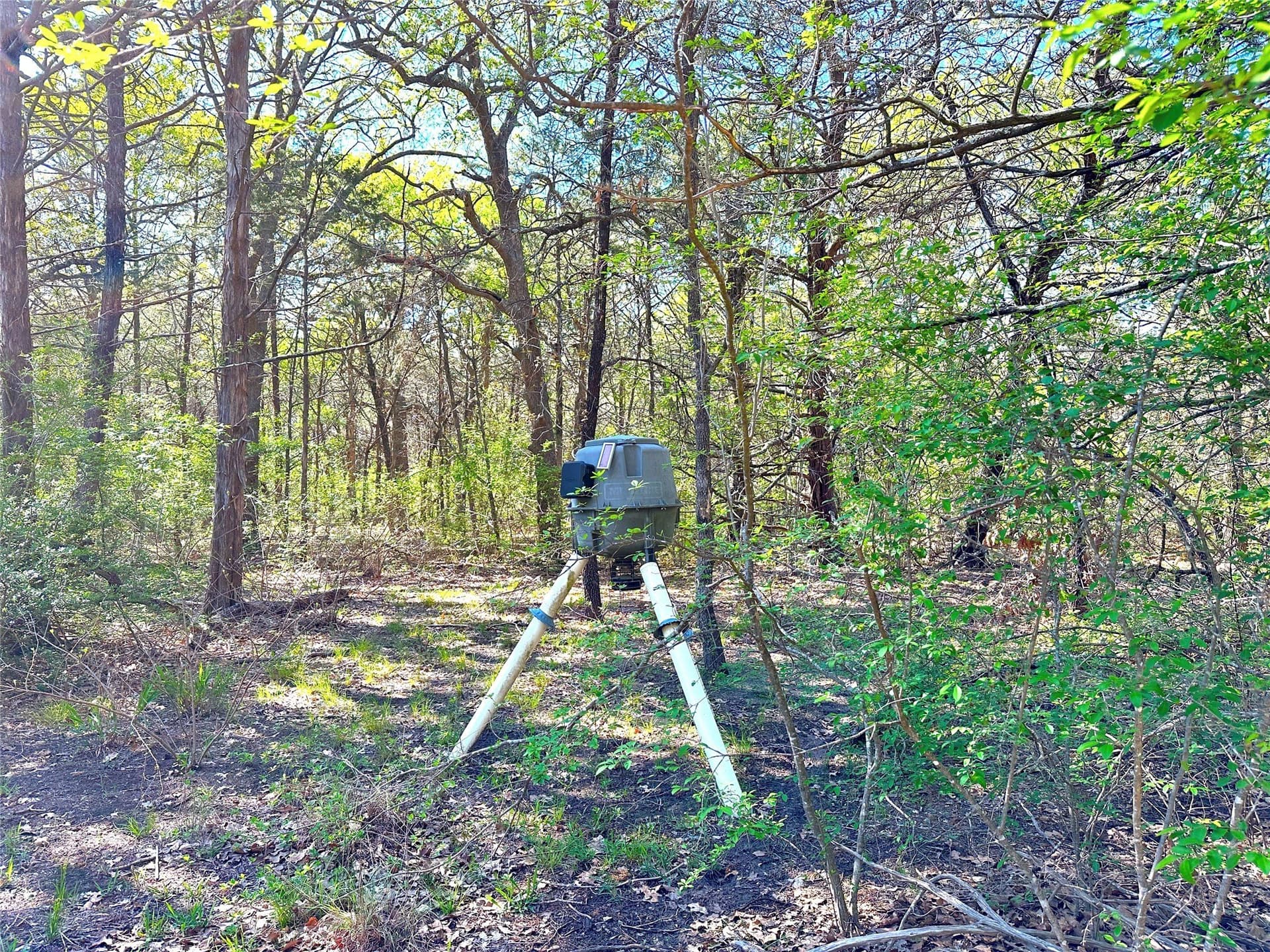 45.02 acres in Navarro County - photo 15
