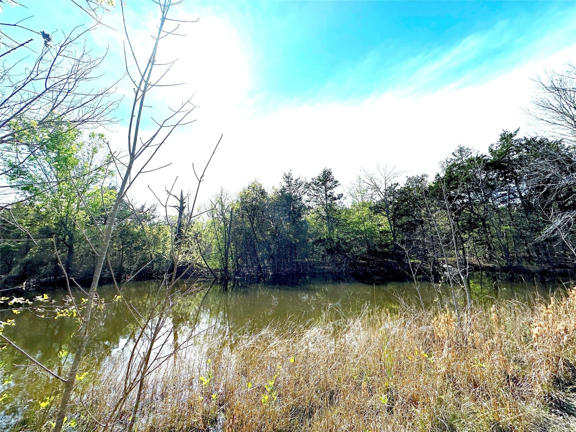 45.02 acres in Navarro County - photo 13