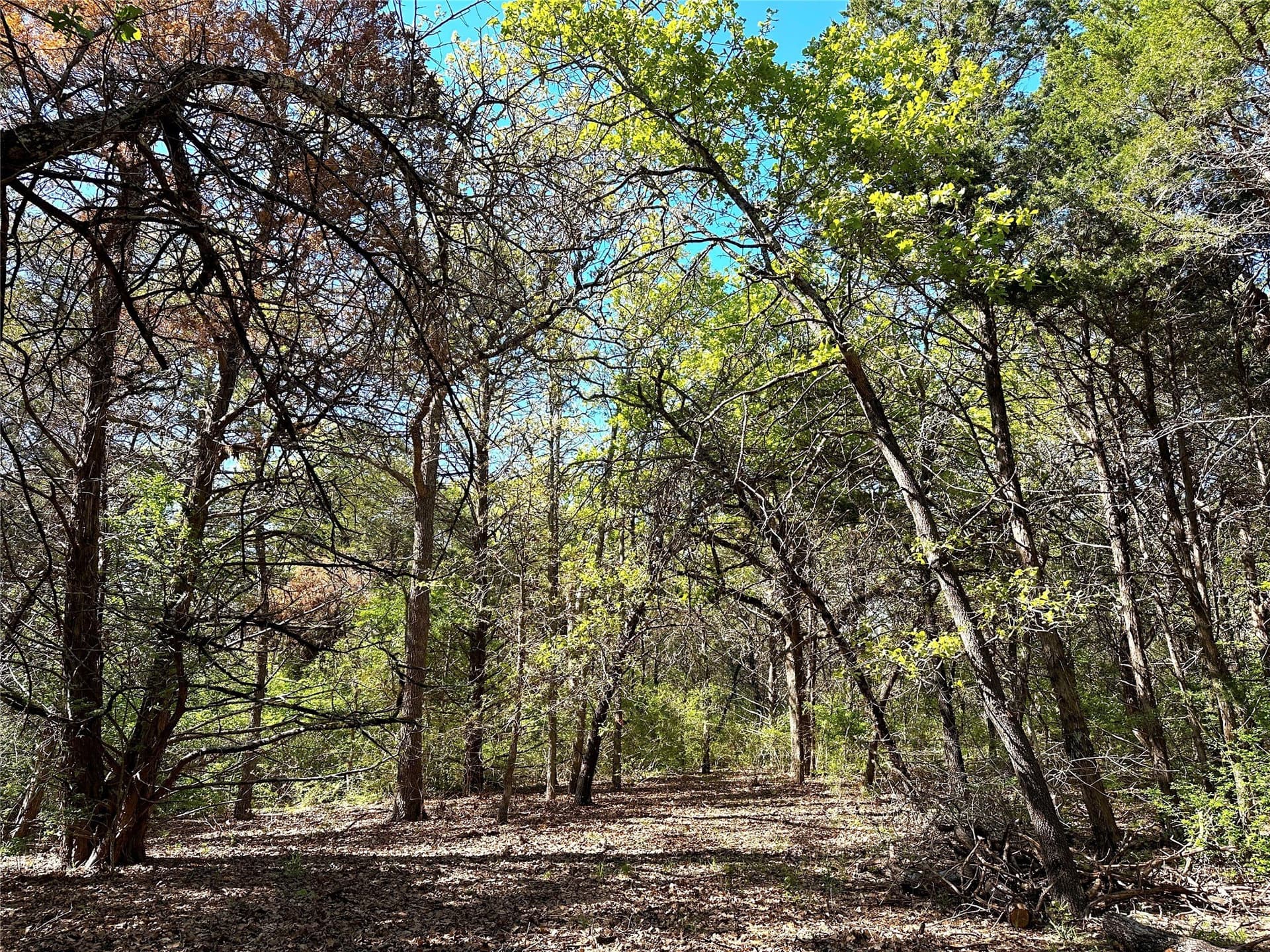 45.02 acres in Navarro County - photo 29