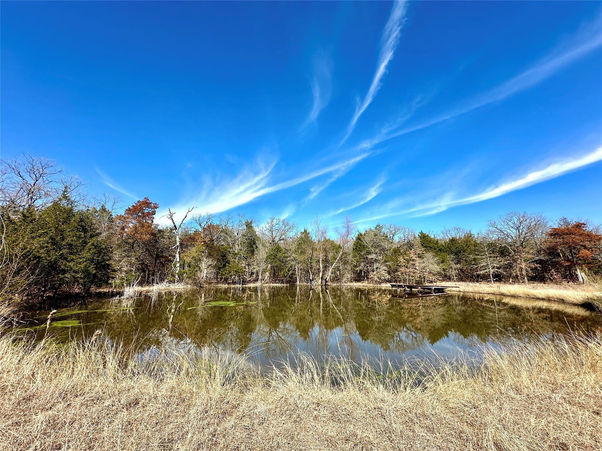 45.02 acres in Navarro County