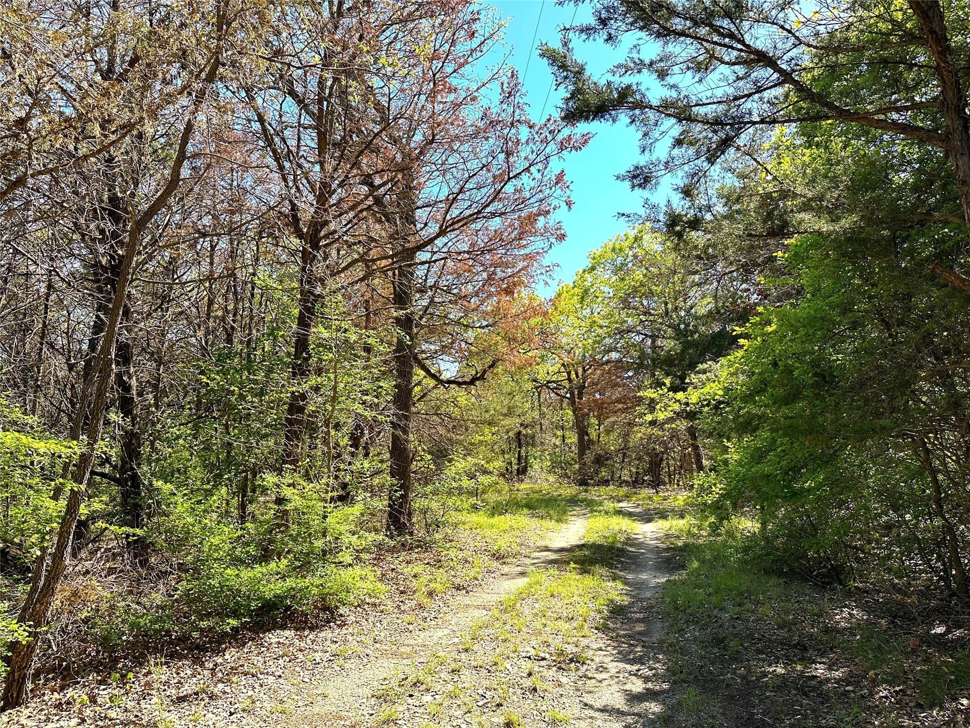 45.02 acres in Navarro County - photo 4