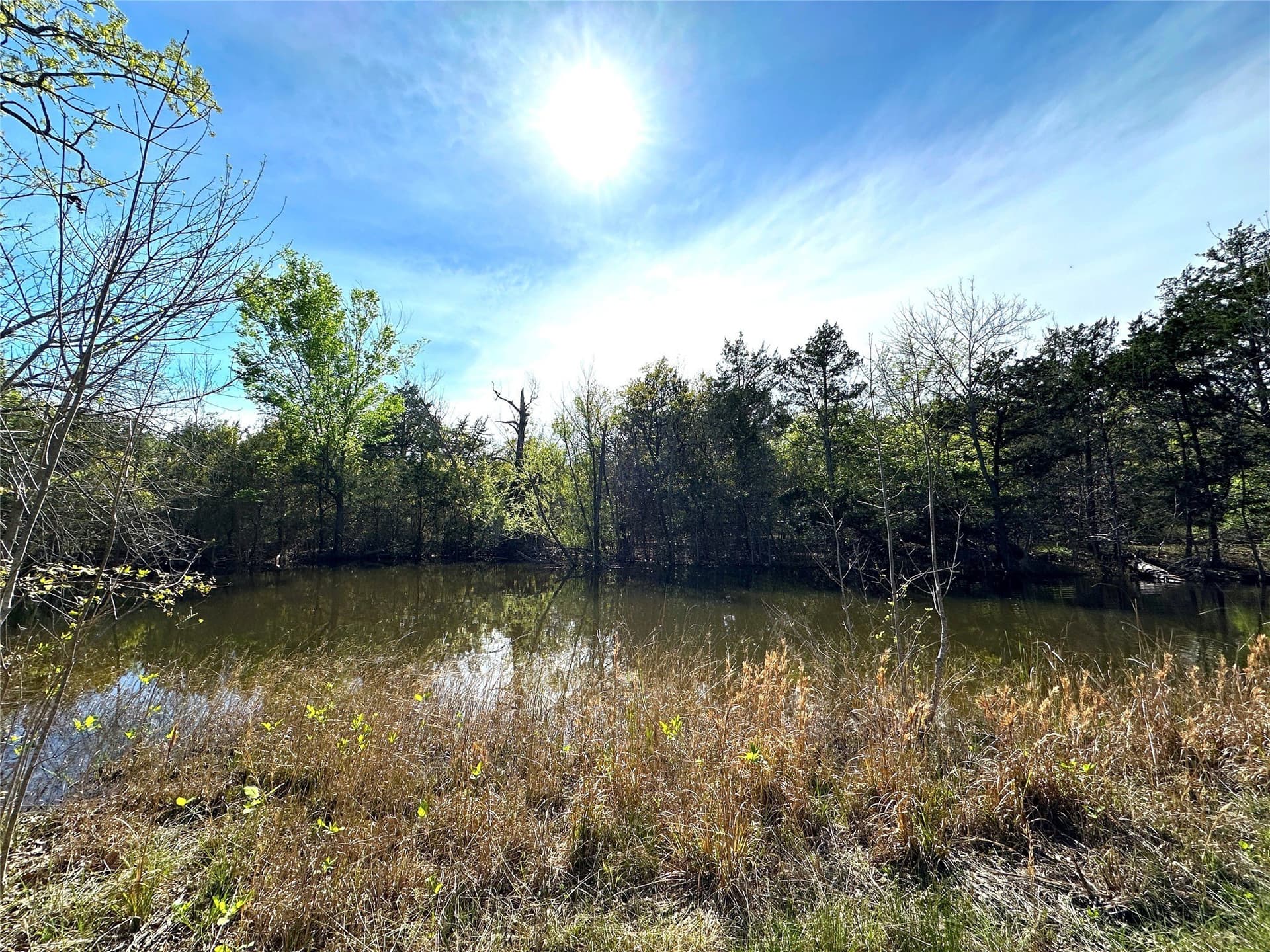 45.02 acres in Navarro County - photo 12