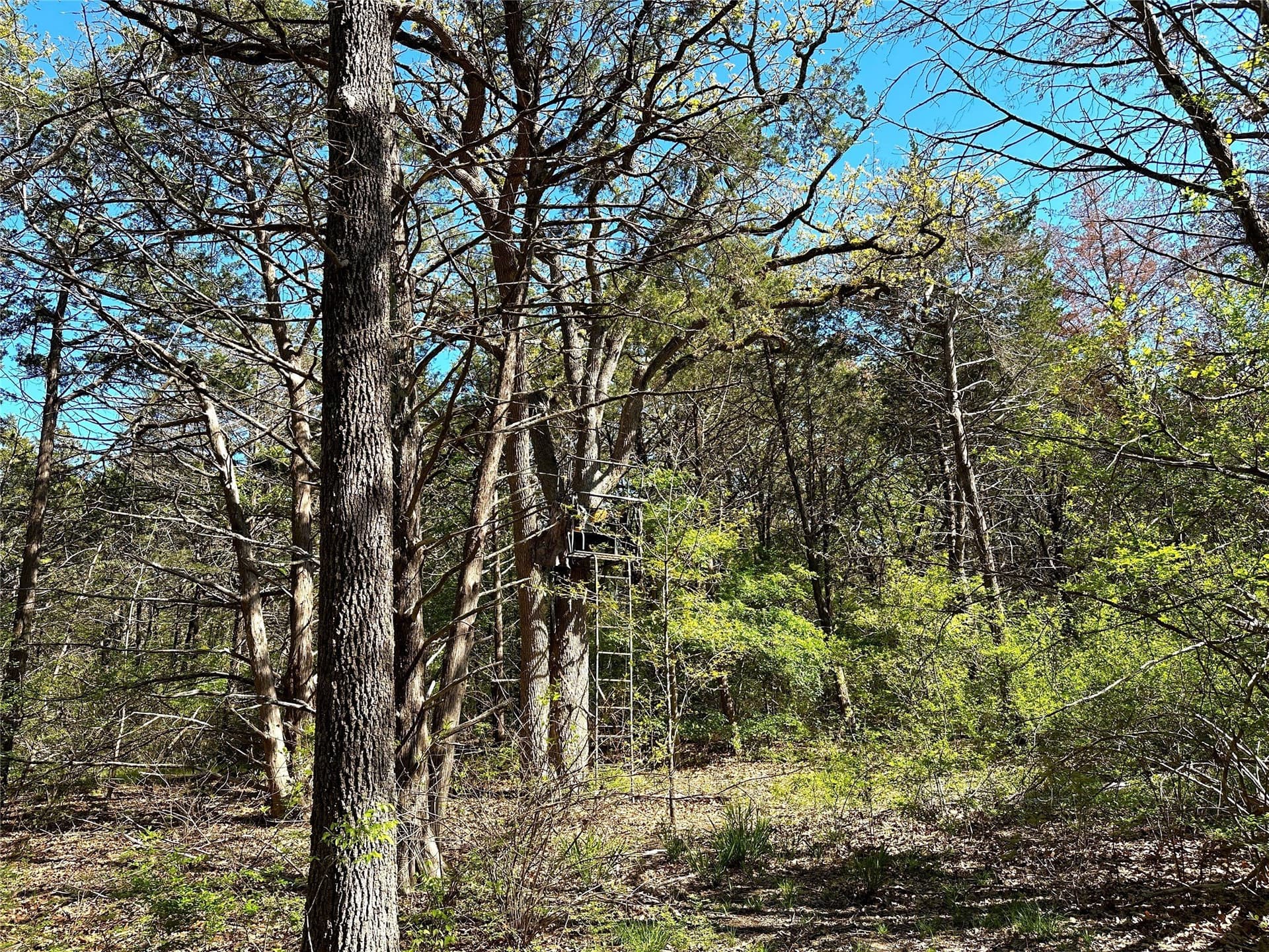 45.02 acres in Navarro County - photo 16