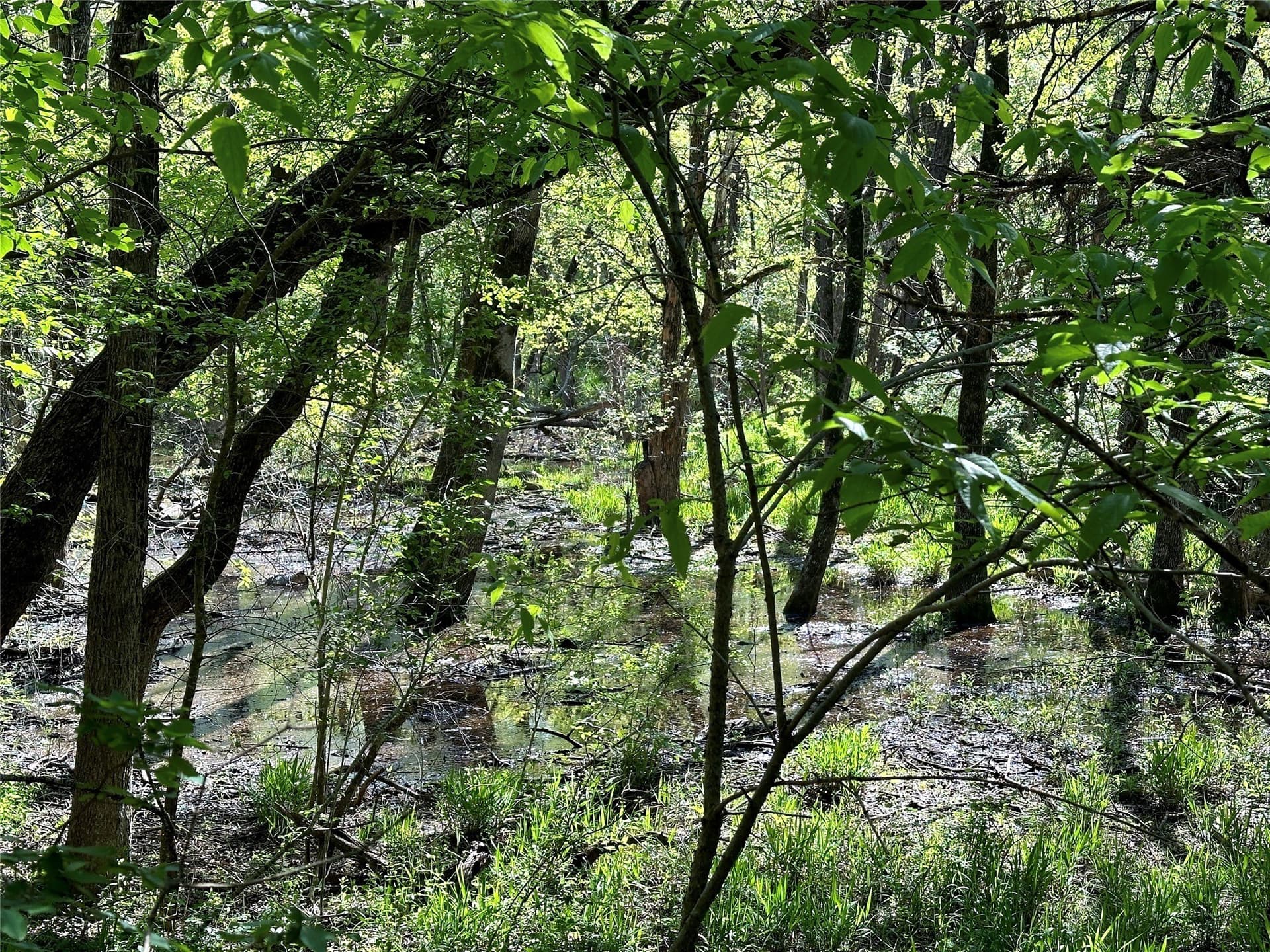 45.02 acres in Navarro County - photo 27
