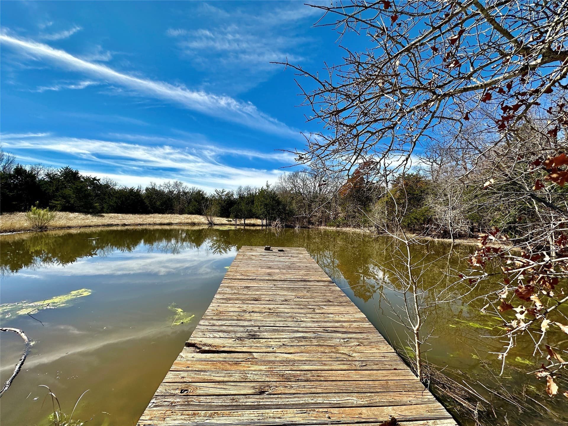 45.02 acres in Navarro County - photo 2