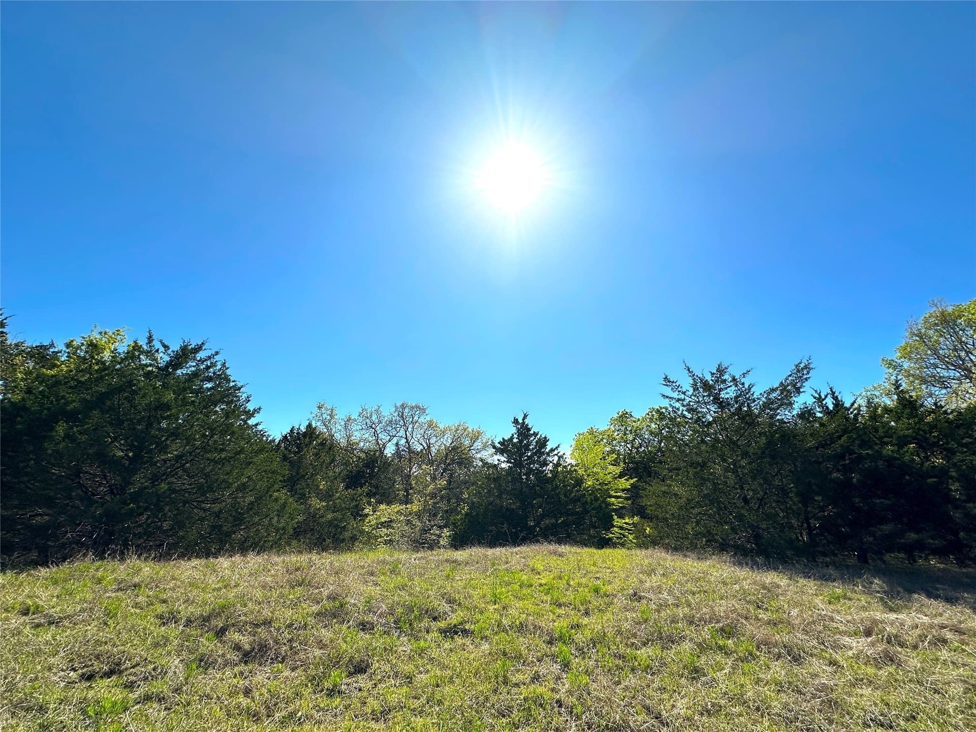 45.02 acres in Navarro County - photo 25