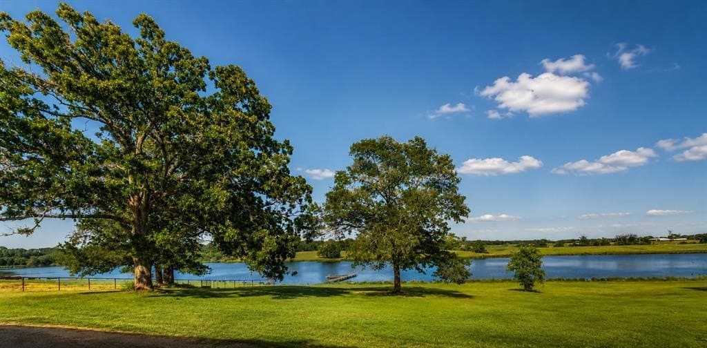 124.01 acres in Henderson County