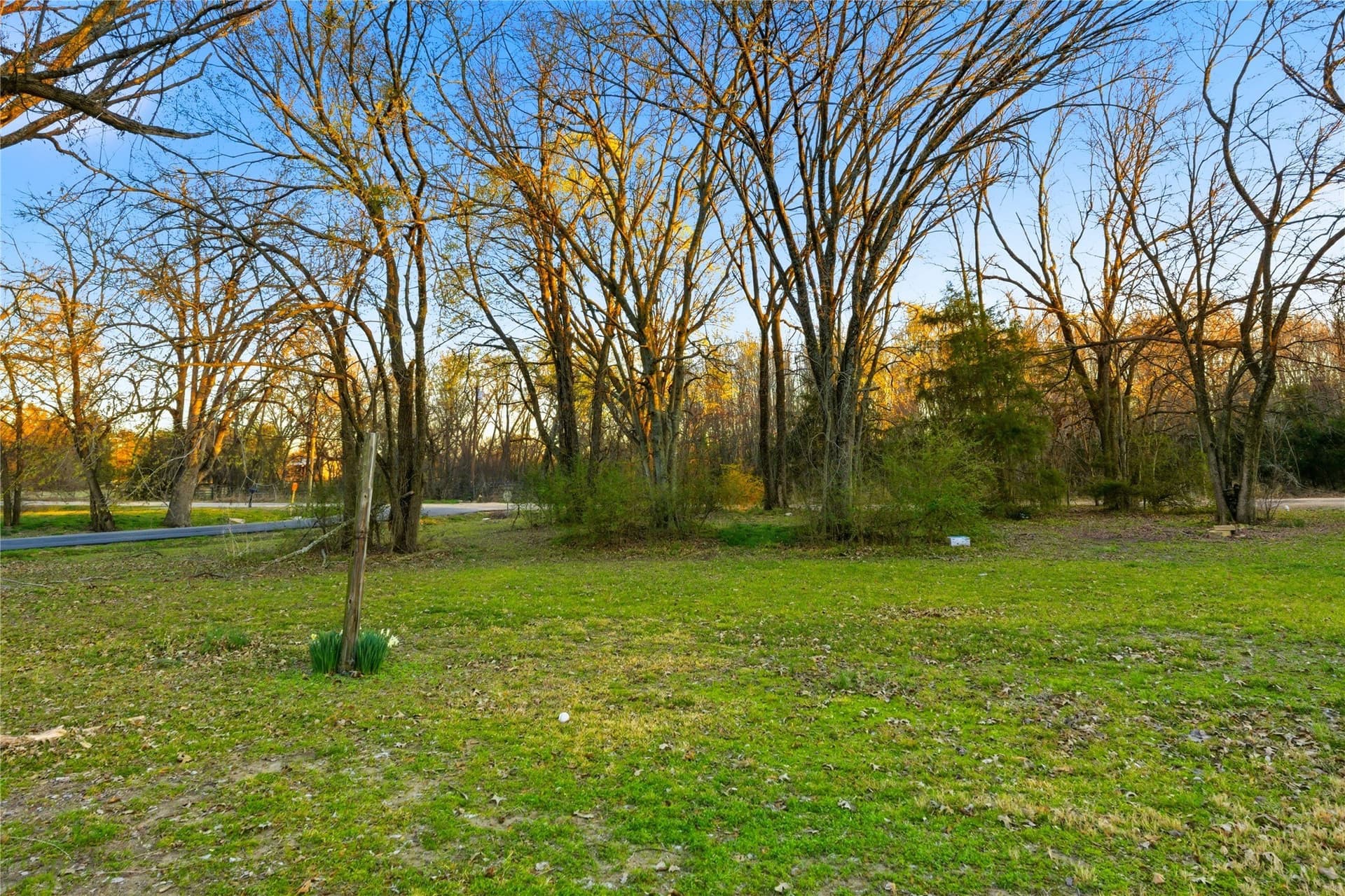 0.27 acres in Delta County - photo 3