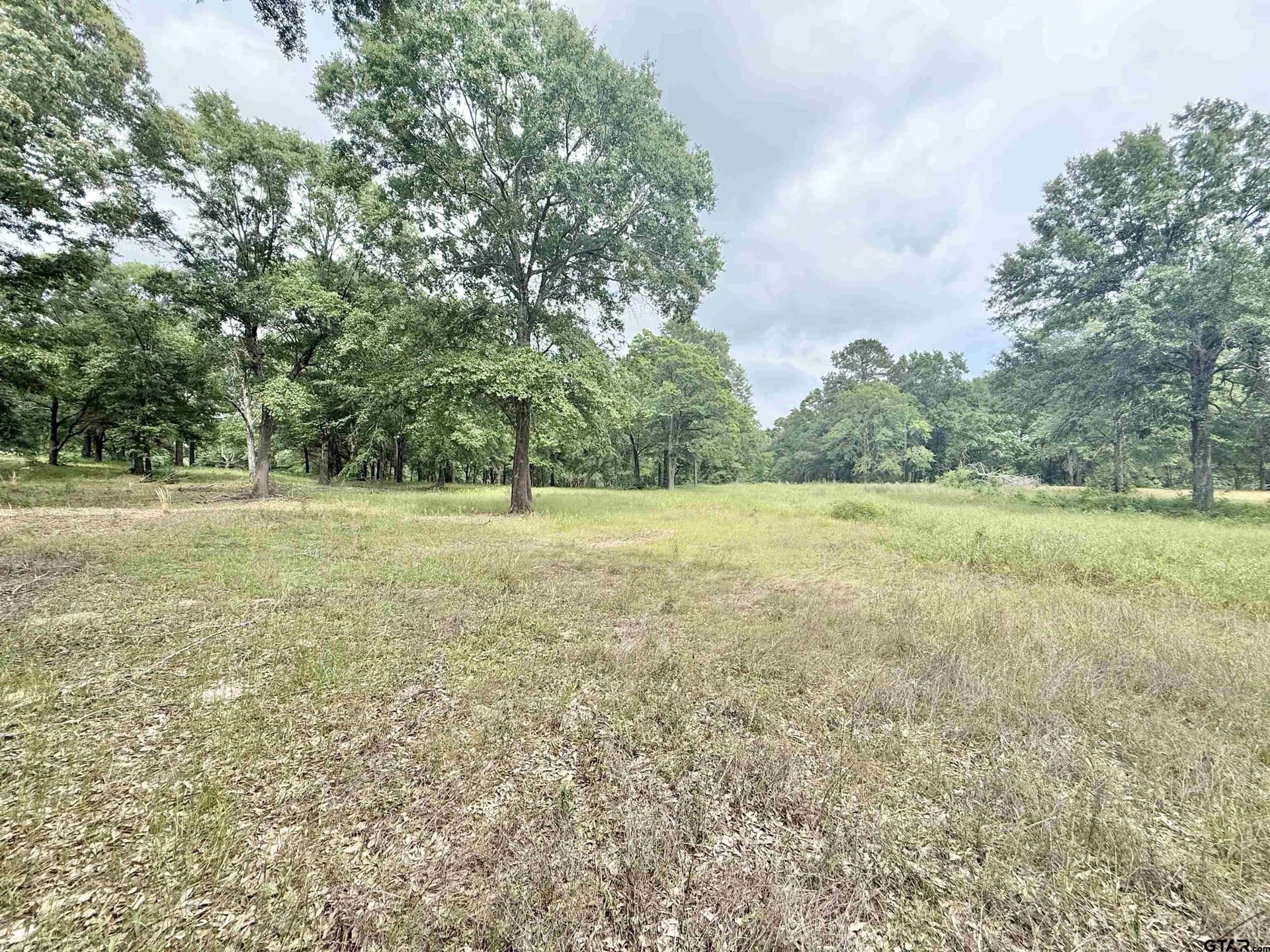 2.37 acres in Cherokee County gallery image 2