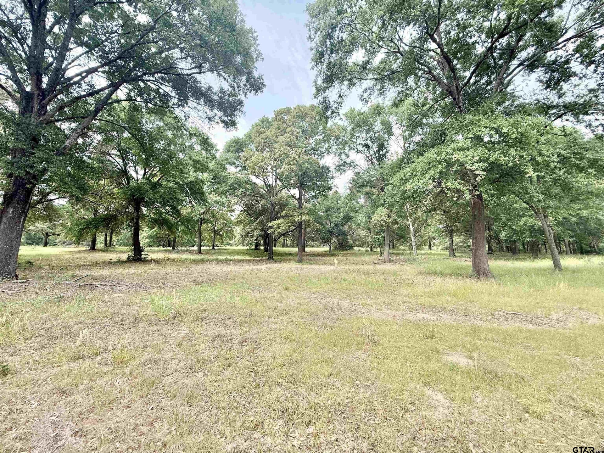 2.37 acres in Cherokee County gallery image 3