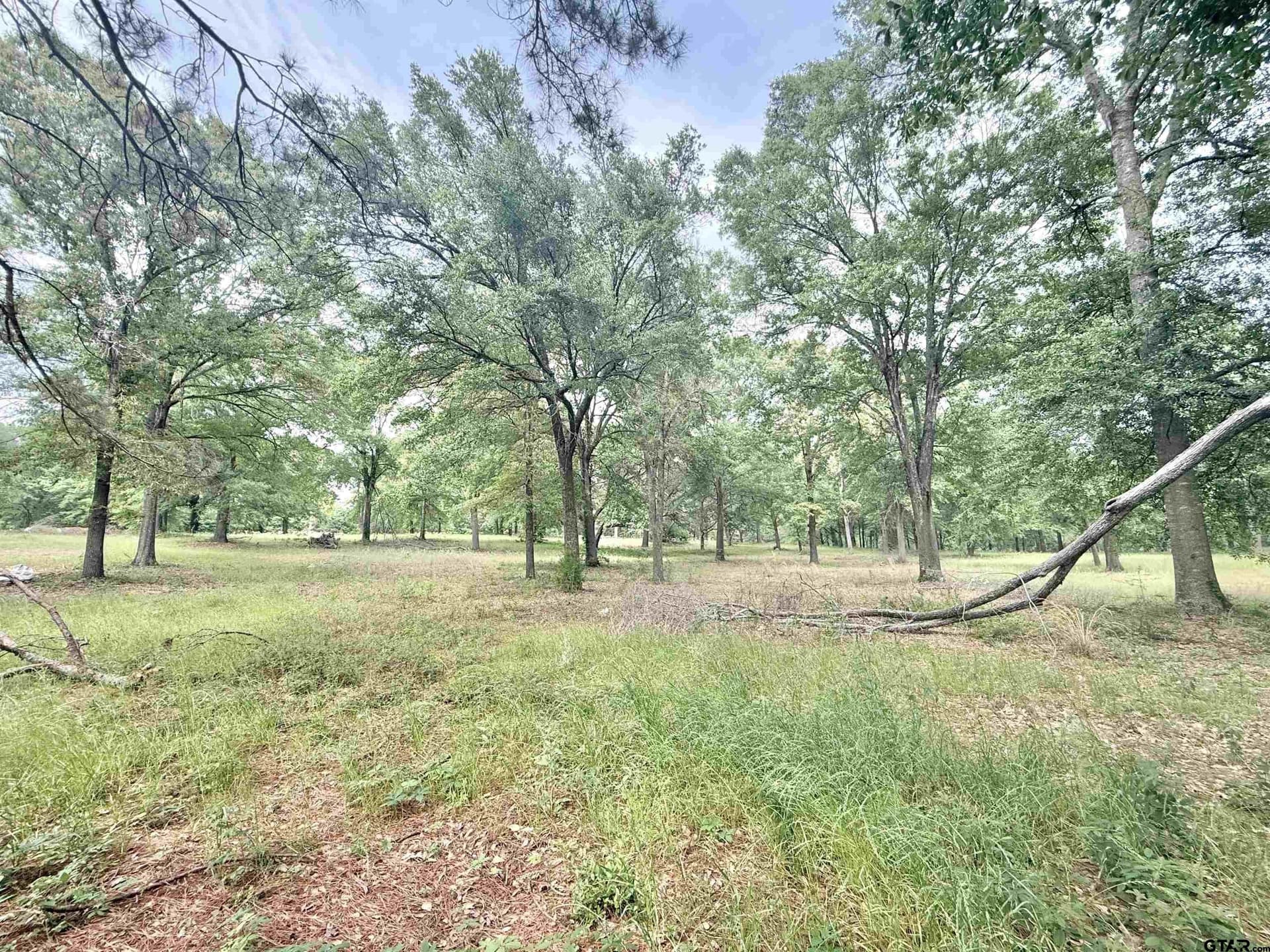 2.37 acres in Cherokee County gallery image 4