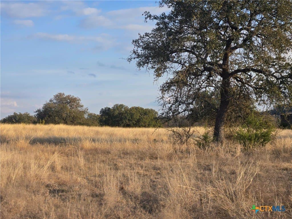 5 acres in Coryell County - photo 10