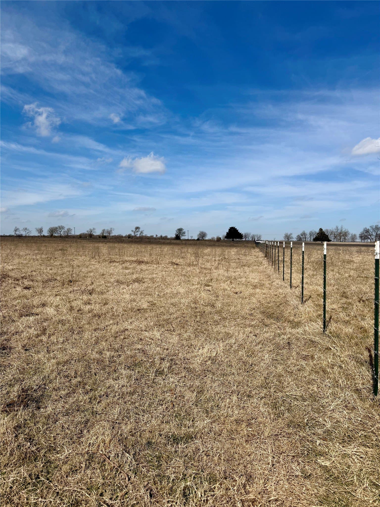 20.5 acres in Limestone County - photo 7
