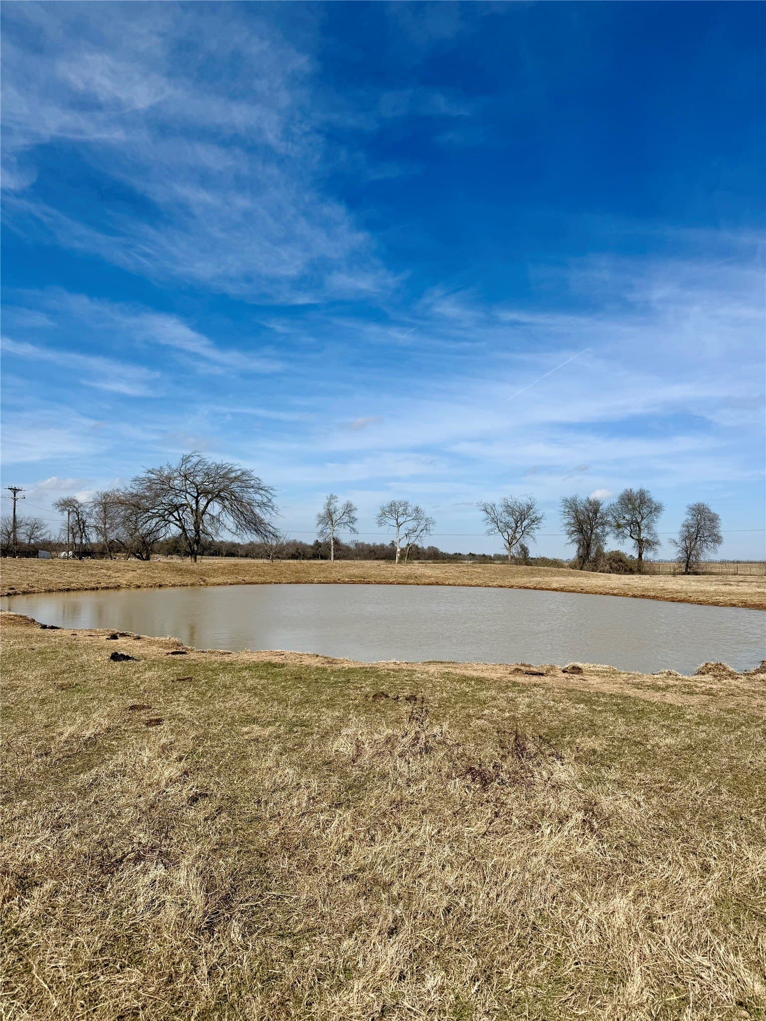 20.5 acres in Limestone County - photo 2