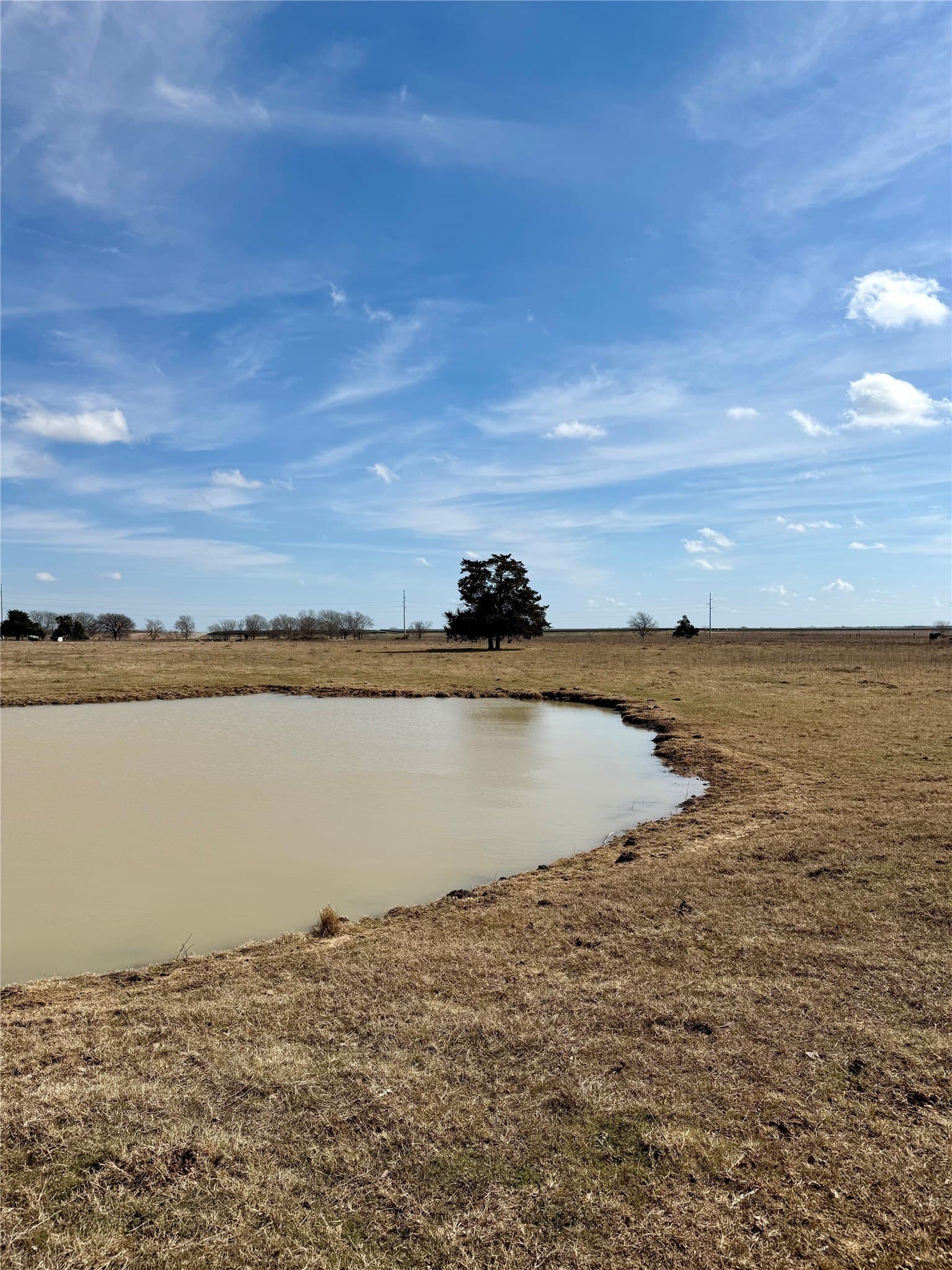 20.5 acres in Limestone County - photo 3