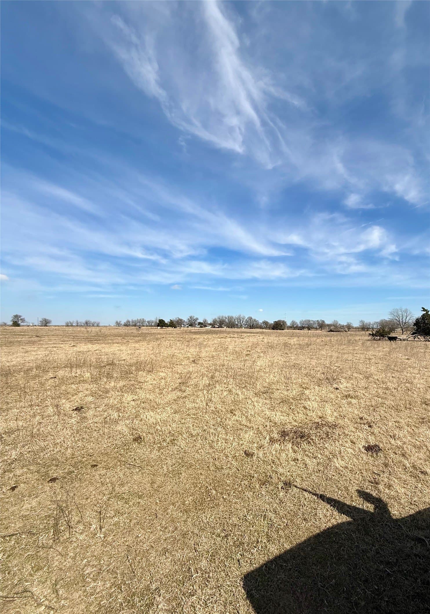 20.5 acres in Limestone County - photo 8