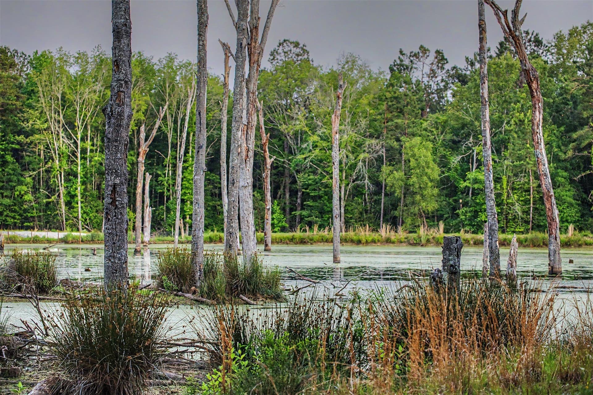 340.63 acres in Panola County - photo 33