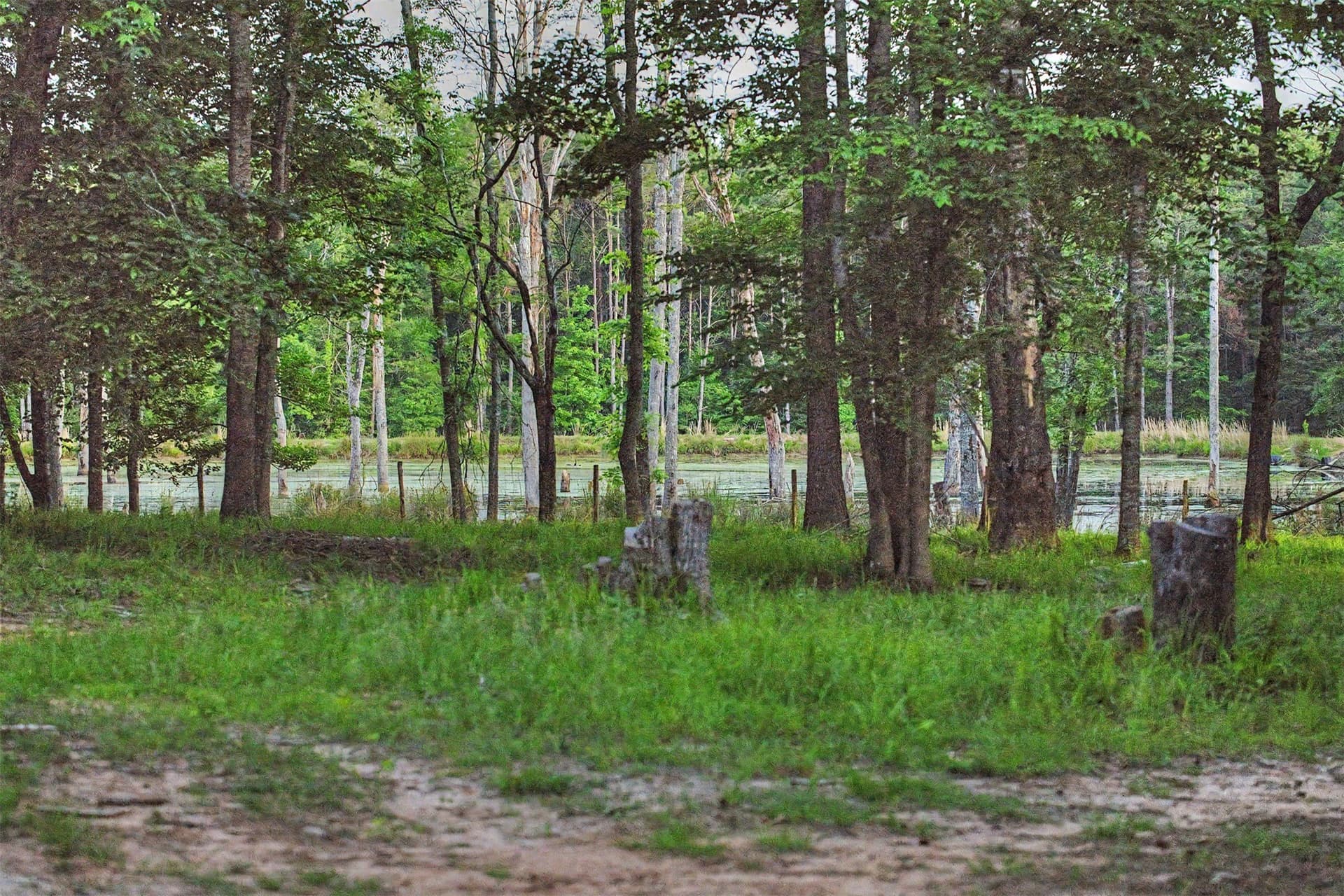 340.63 acres in Panola County - photo 37
