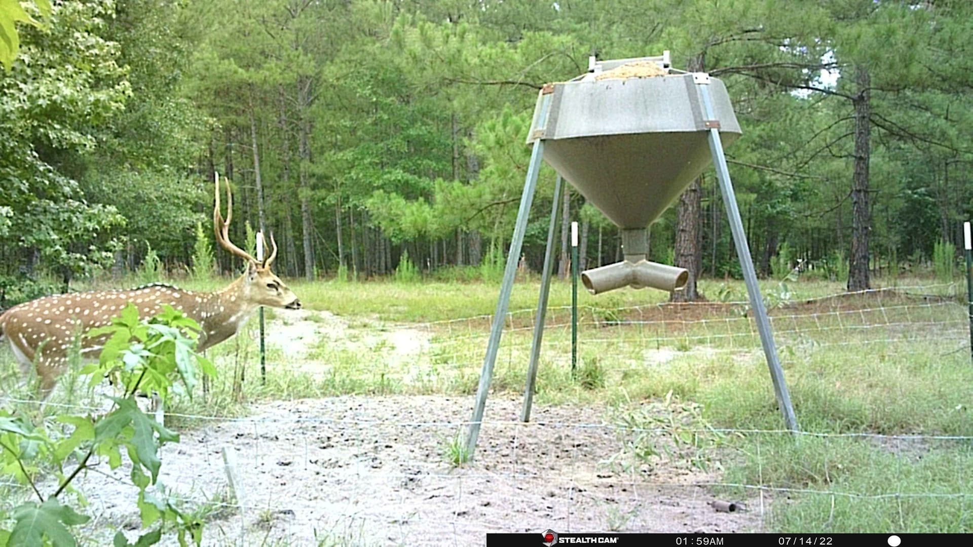 340.63 acres in Panola County - photo 9