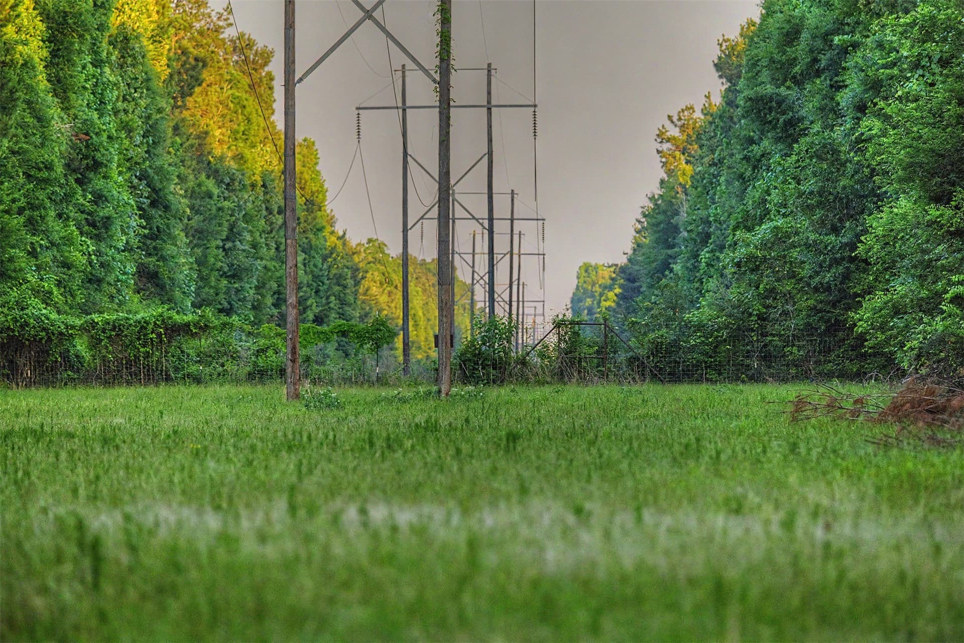 340.63 acres in Panola County - photo 35