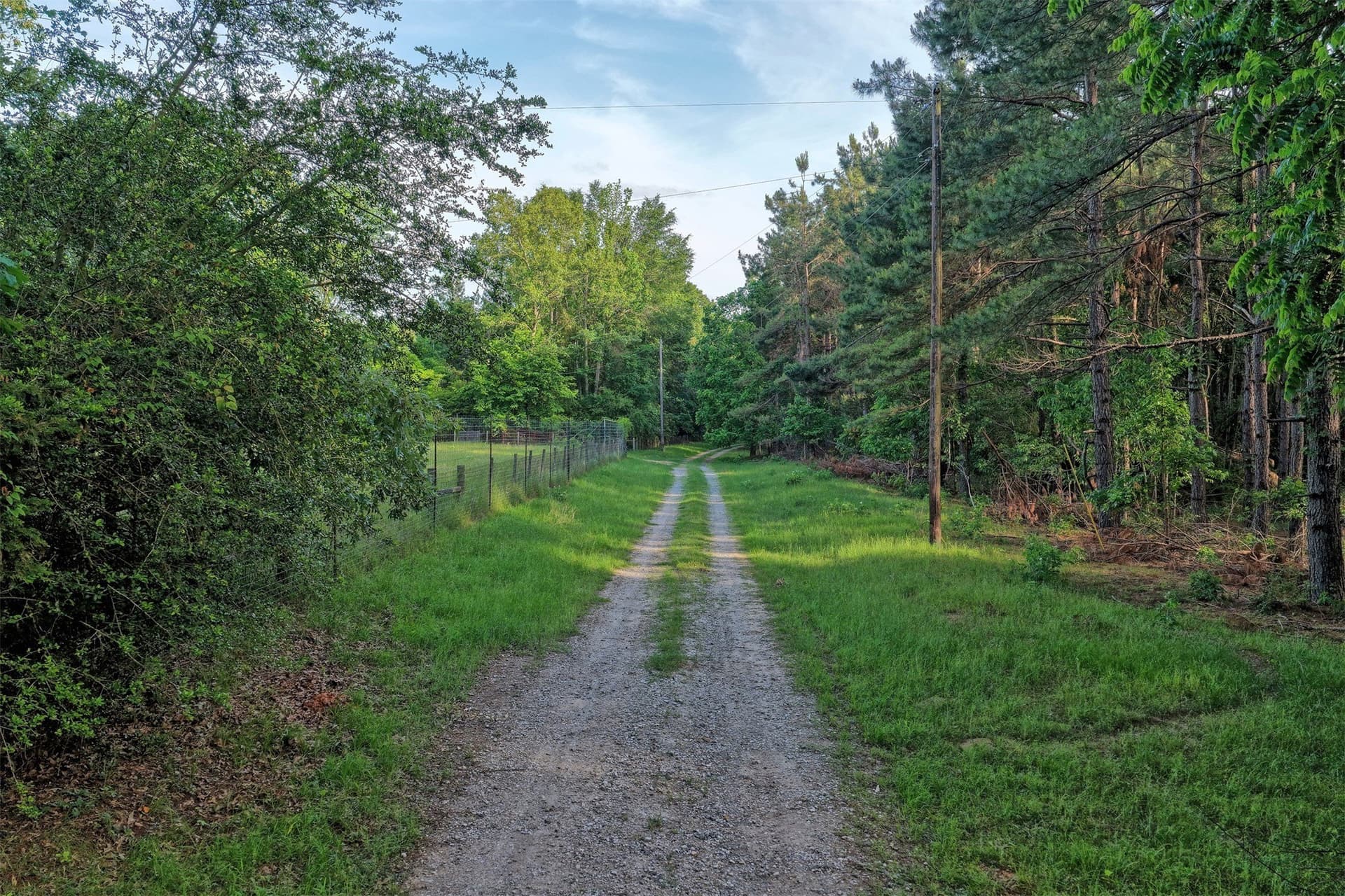 340.63 acres in Panola County - photo 17