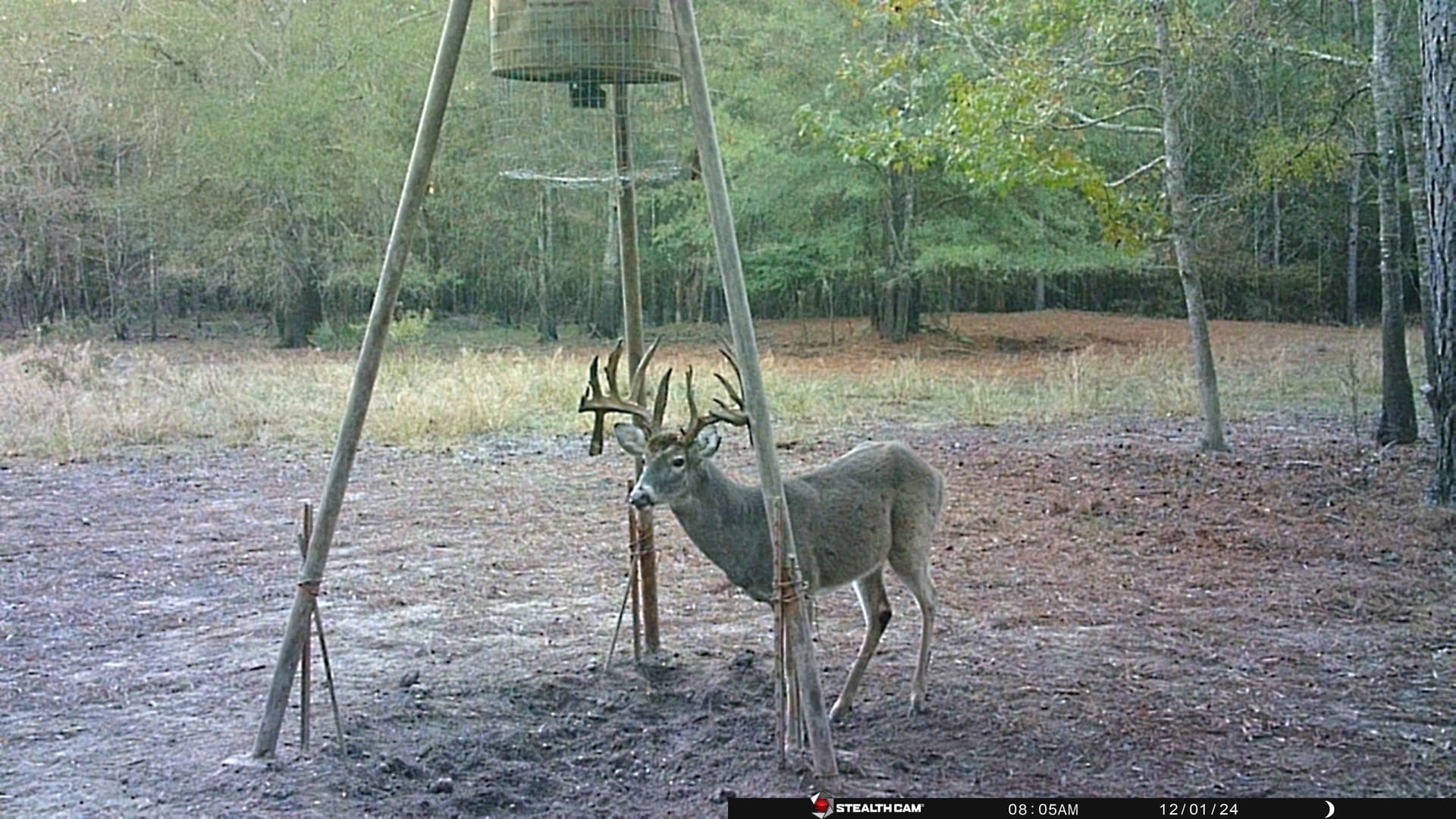 340.63 acres in Panola County - photo 8