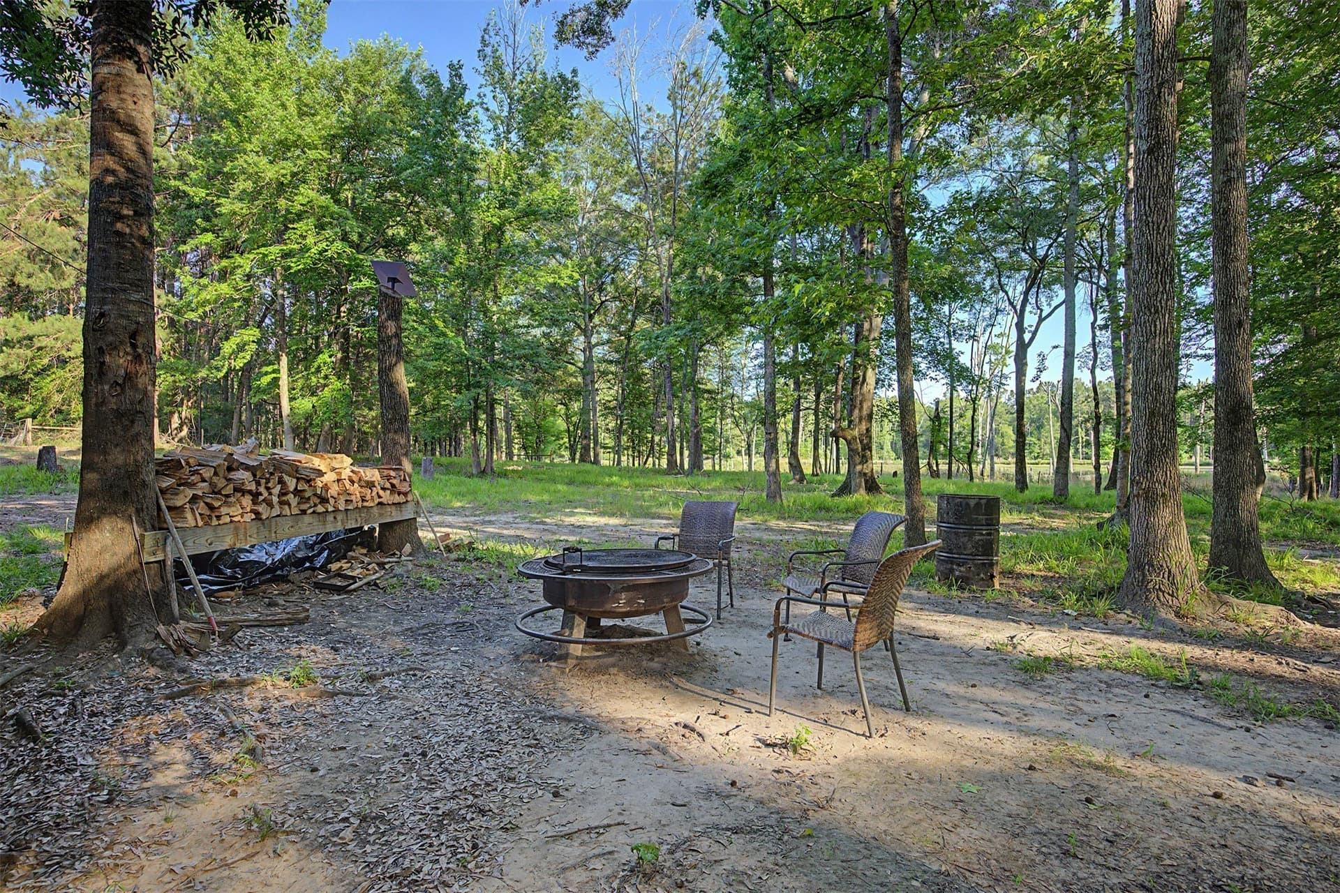 340.63 acres in Panola County - photo 7