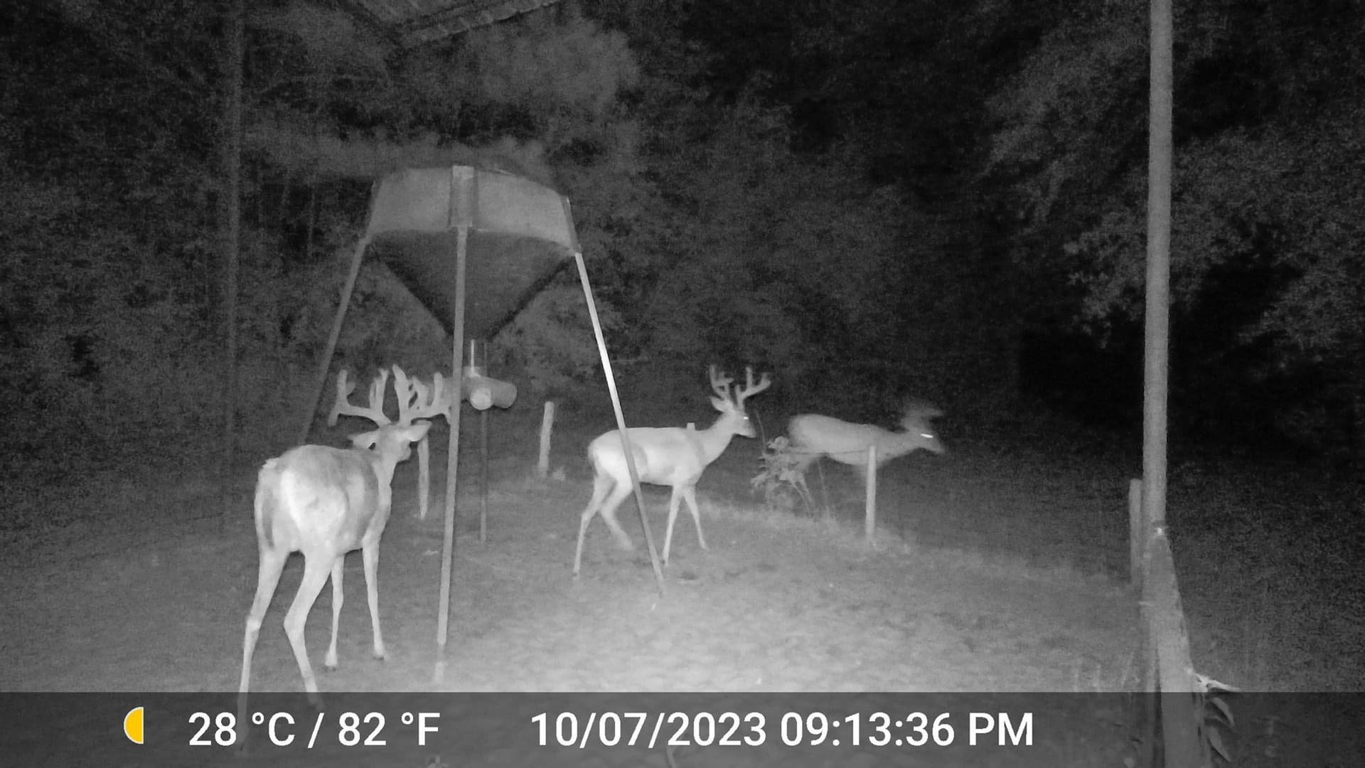 340.63 acres in Panola County - photo 12