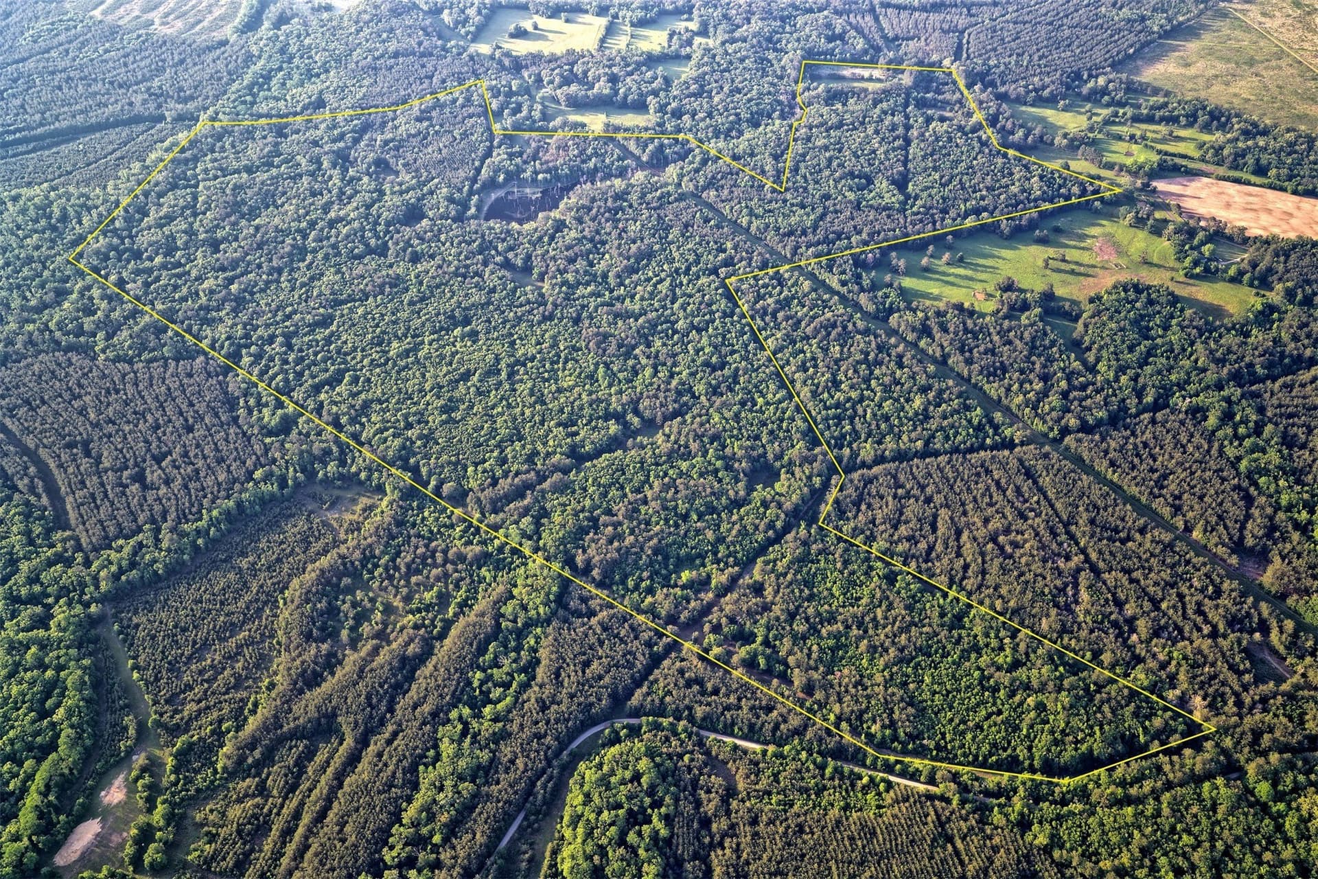 340.63 acres in Panola County gallery image 2