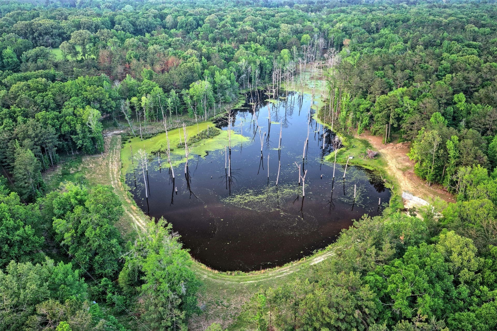 340.63 acres in Panola County gallery image 4
