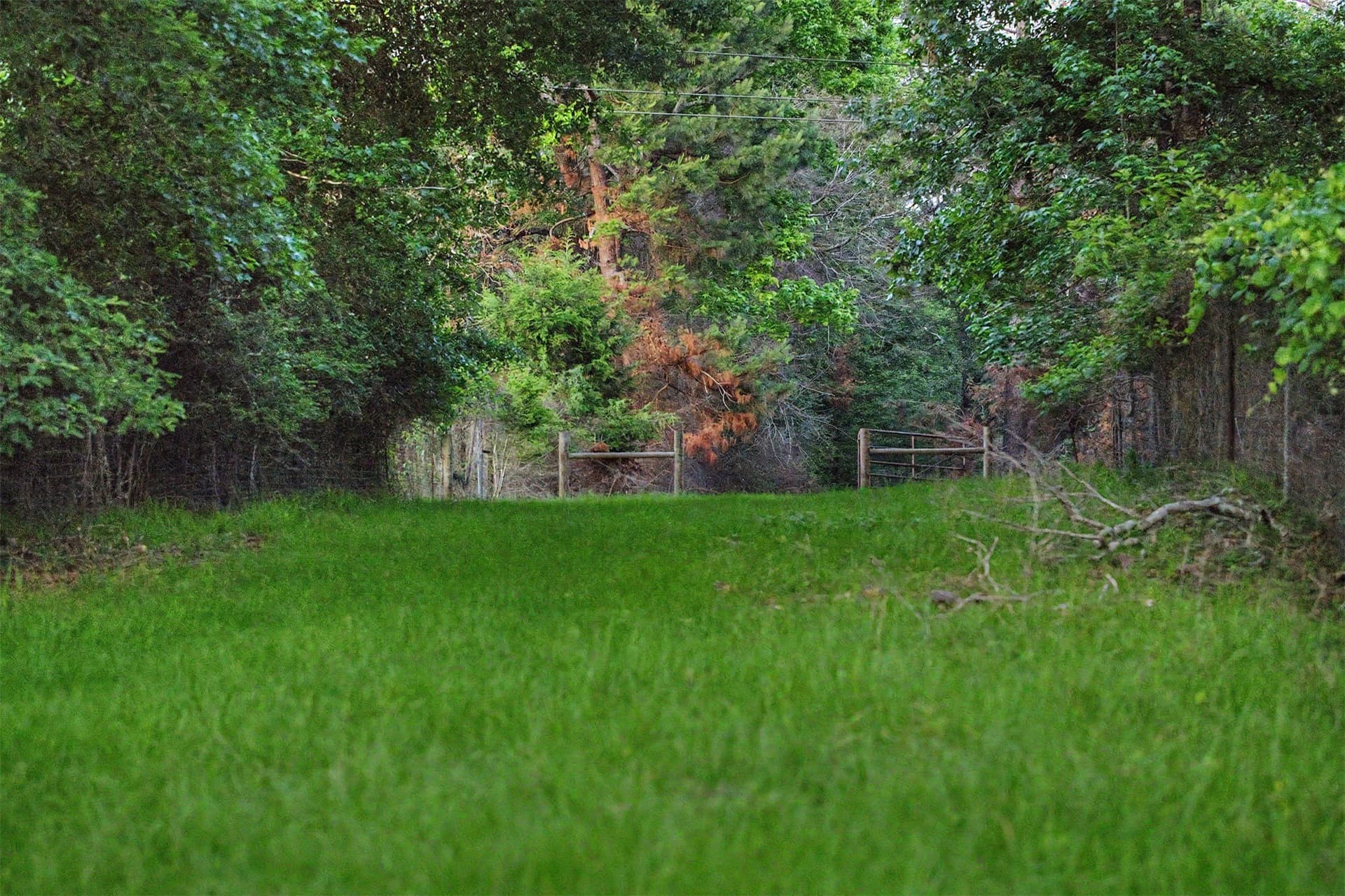 340.63 acres in Panola County - photo 34