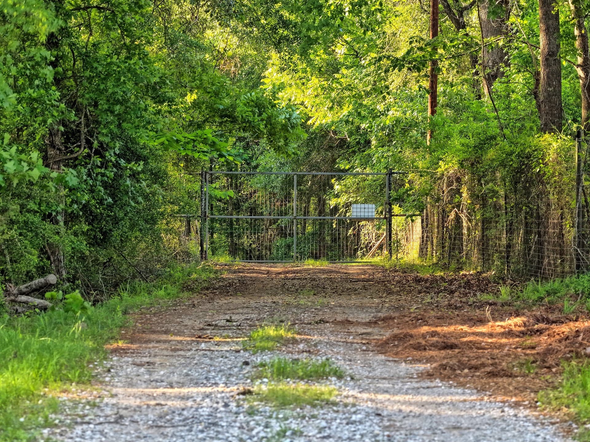 340.63 acres in Panola County featured view