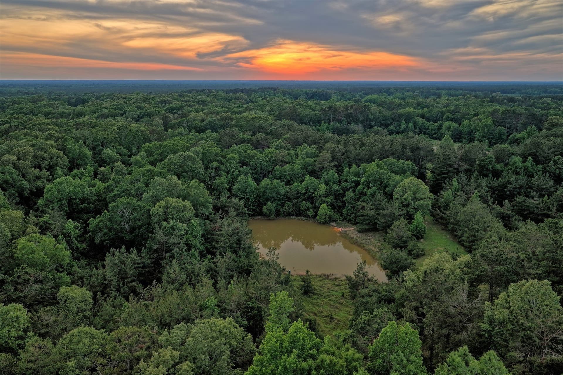 340.63 acres in Panola County gallery image 3