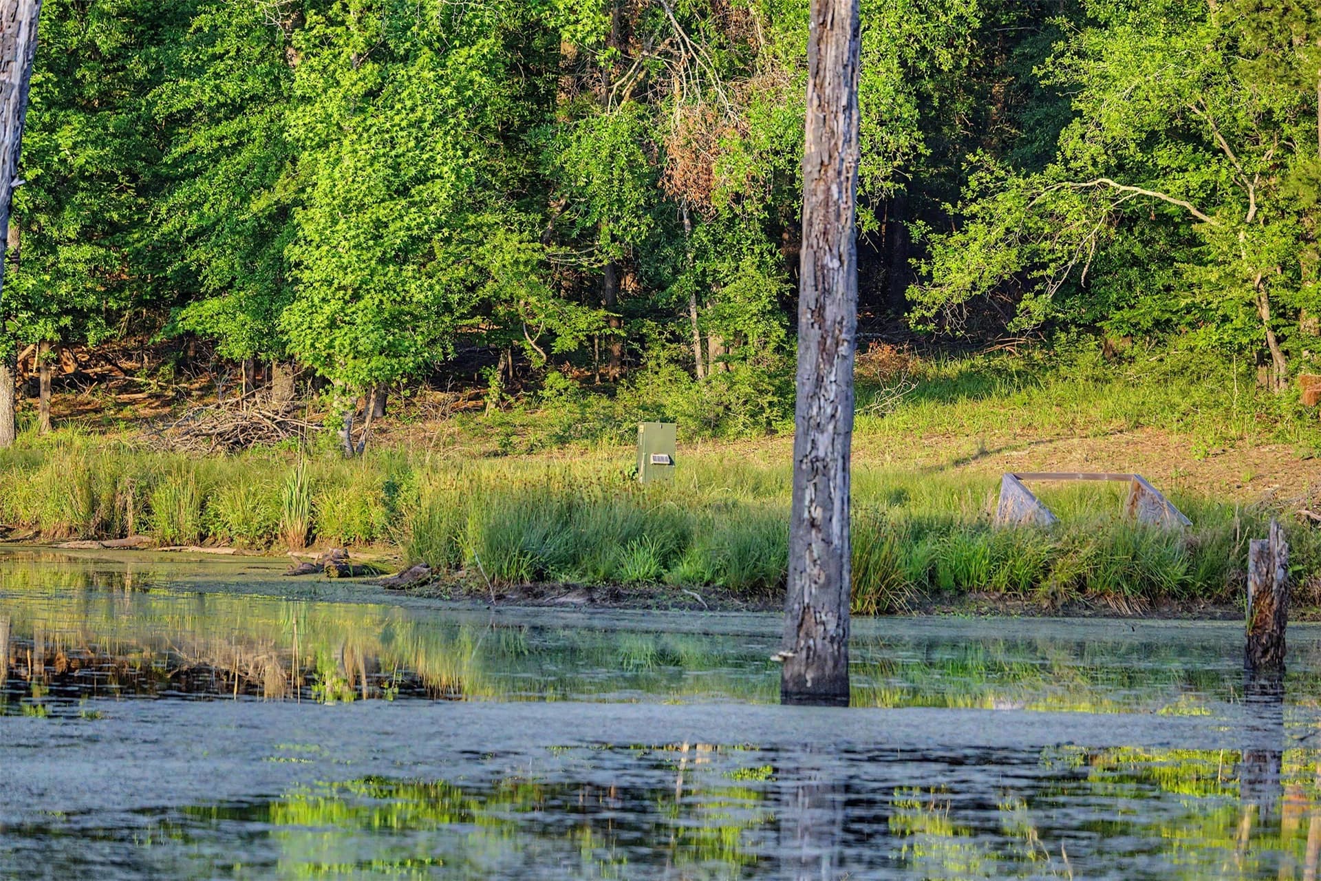 340.63 acres in Panola County - photo 32