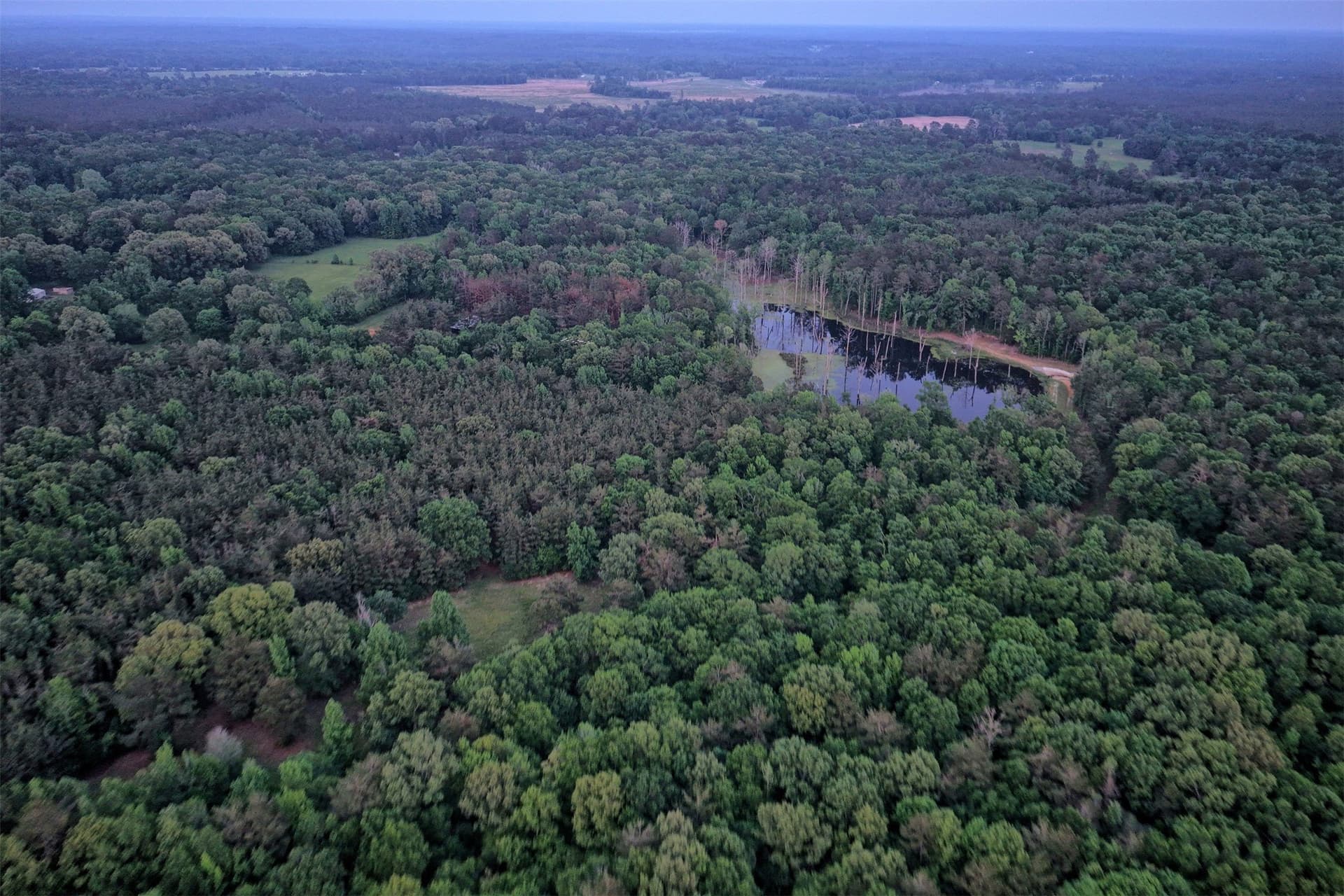 340.63 acres in Panola County - photo 40